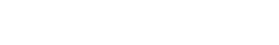 Provus white logo